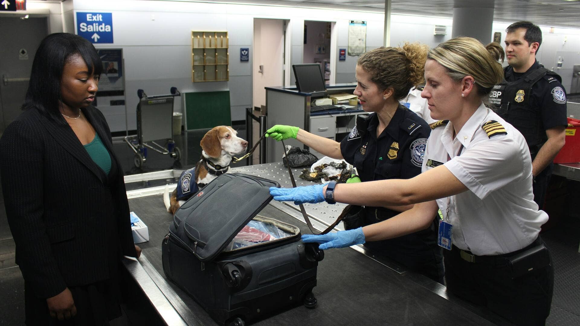 Can you bring food through airport security? - TravelHost