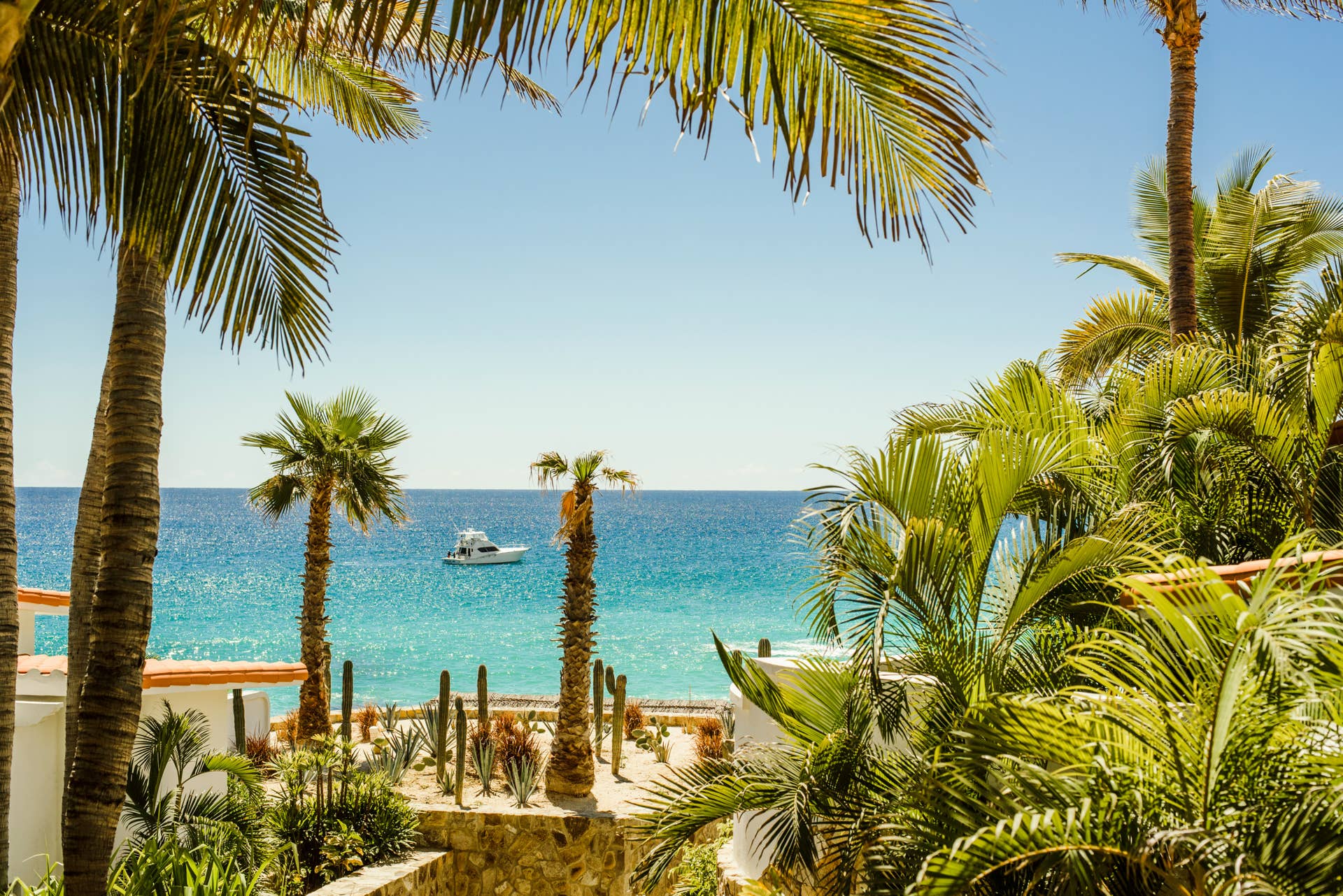 The best time to visit Cabo for whales, beaches, and deals