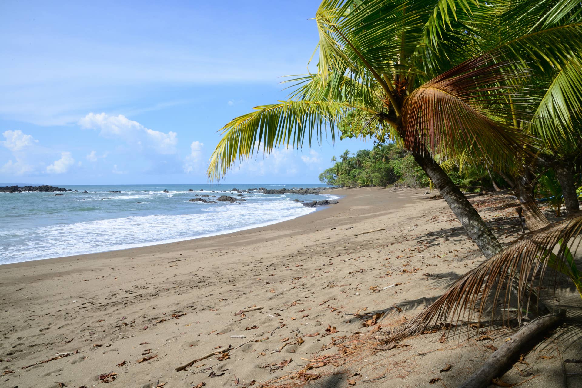 A Popular Costa Rica National Park Forces October Tourists to Reroute ...