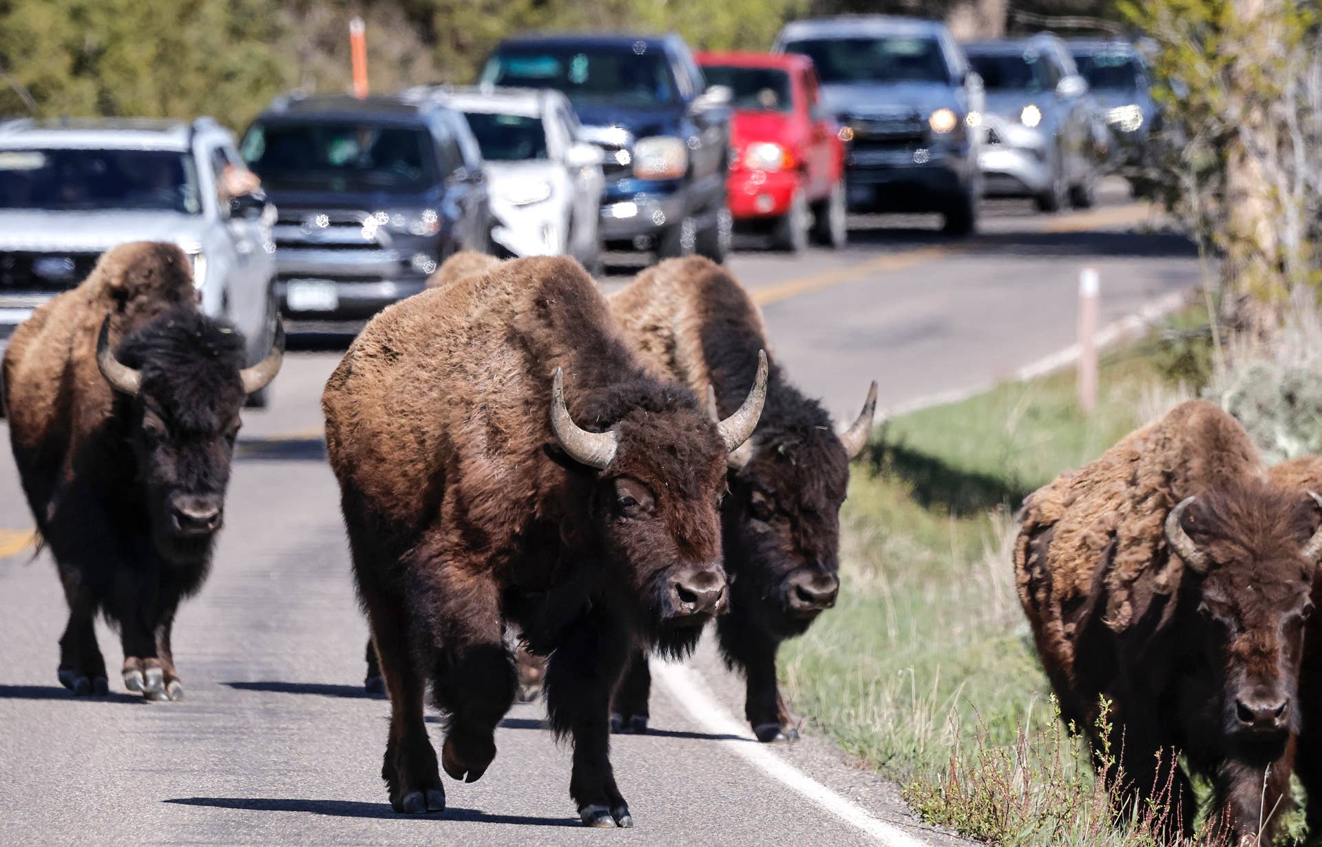 Primary Route to Yellowstone Faces a 12-Week Bottleneck - TravelHost