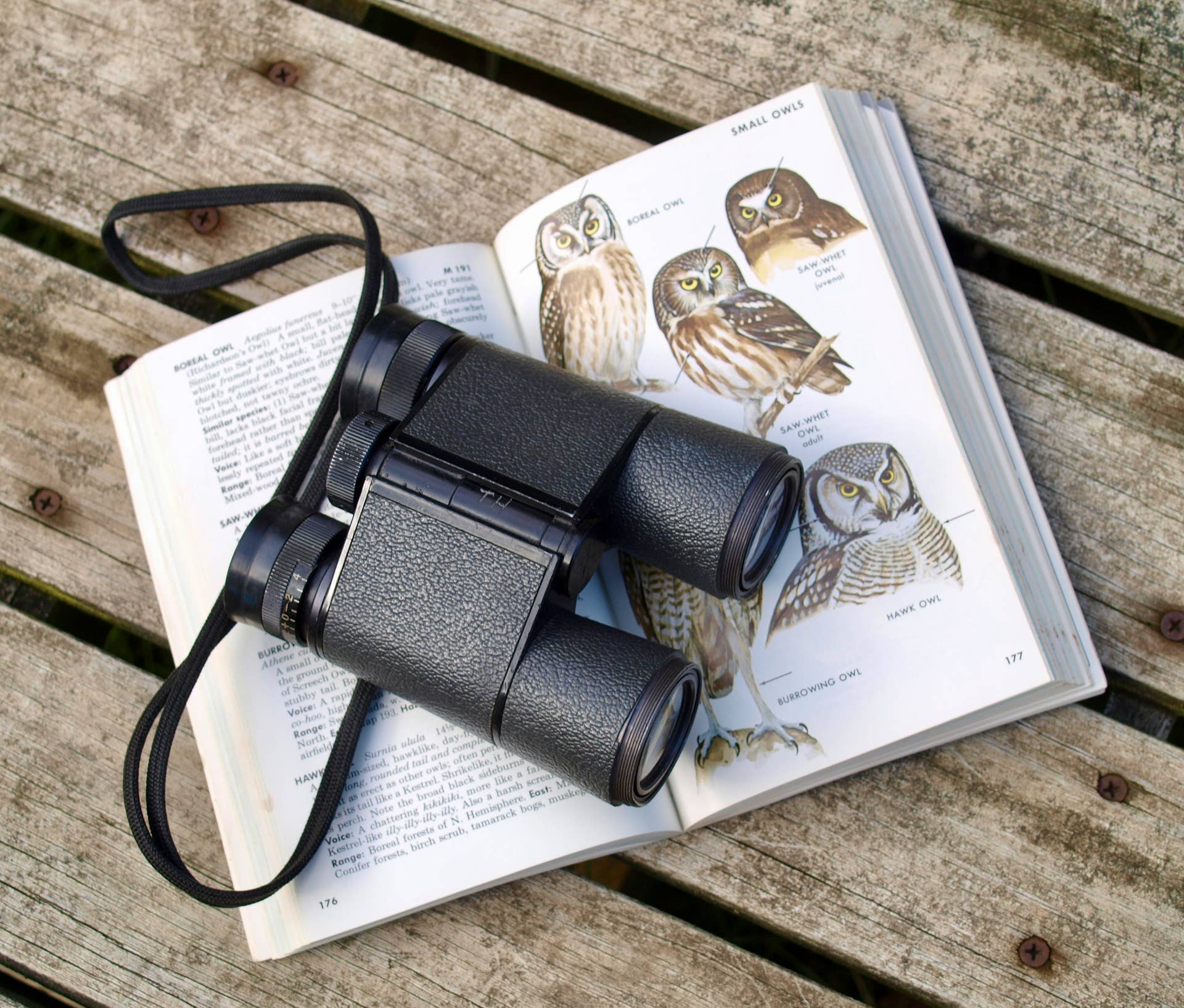 The 5 Best Bird Watching Spots in the U.S. for Retirees - TravelHost