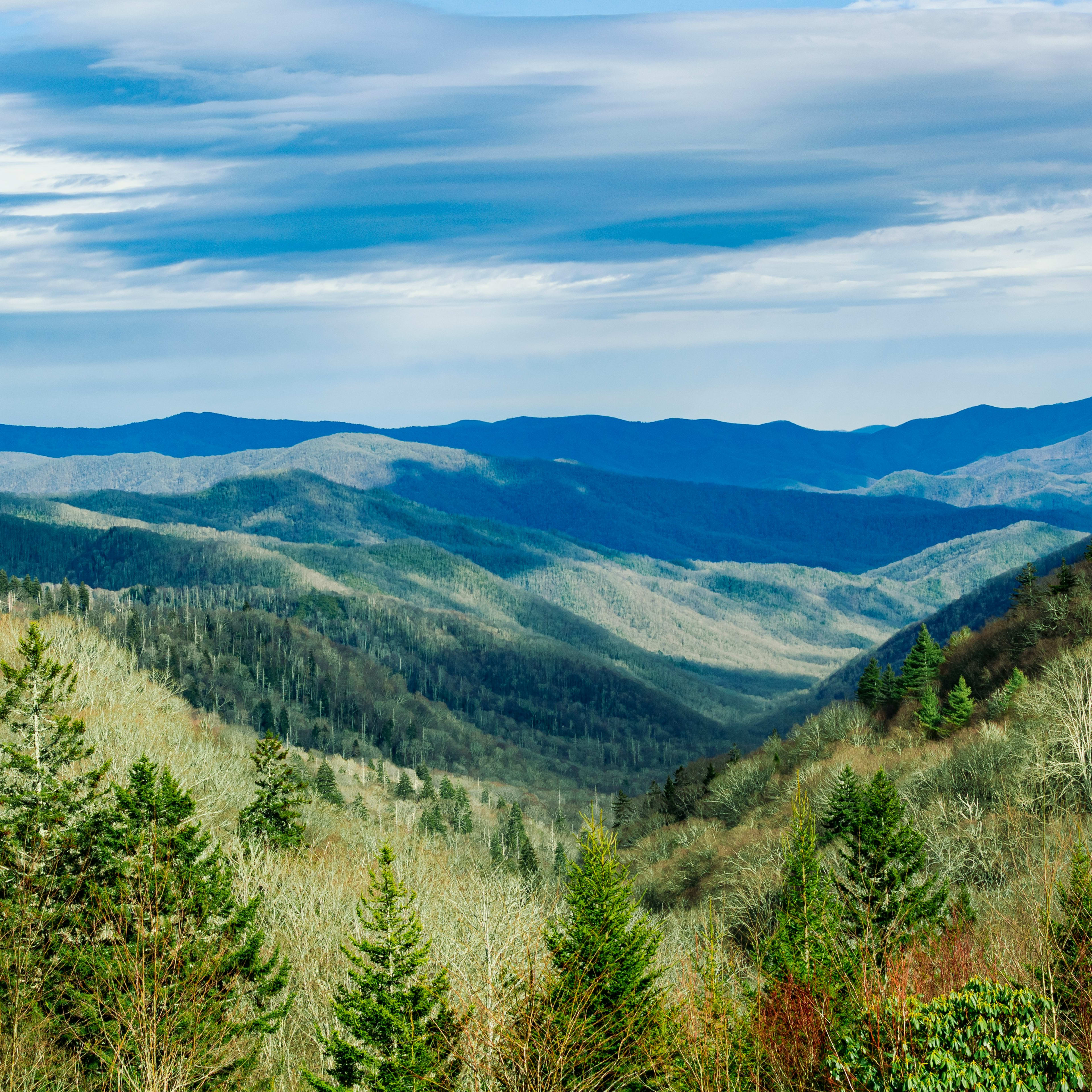 Carnival cruisers get free drinks with this lesser-known deal - TravelHost