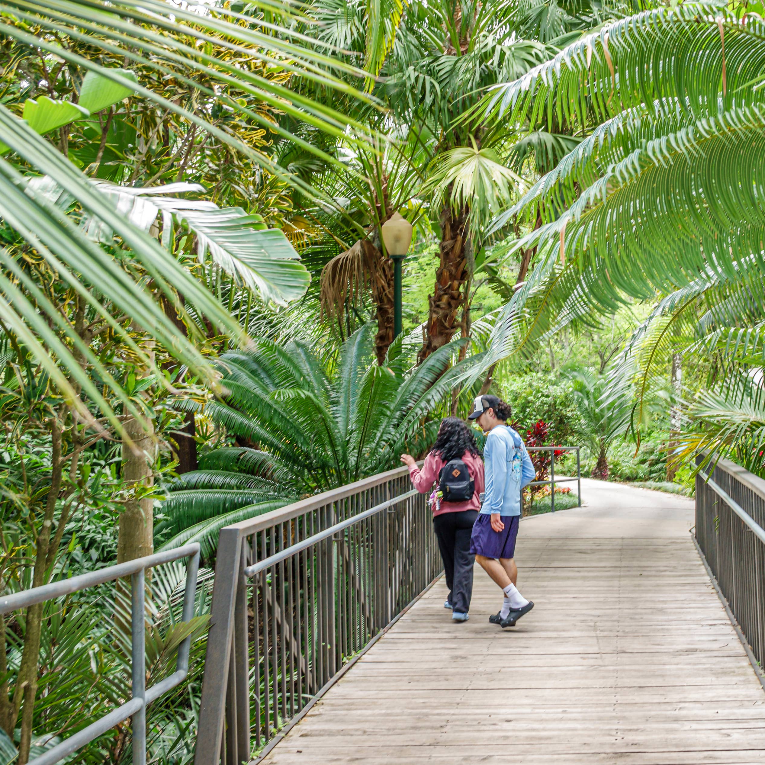 Norwegian Cruise Line Embraces Freestyle Cruising Again Travelhost