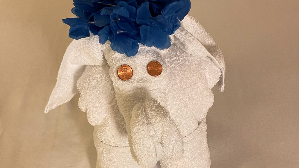 Carnival Cruise Line shares a cleaning controversy - TravelHost, image size:1200x675